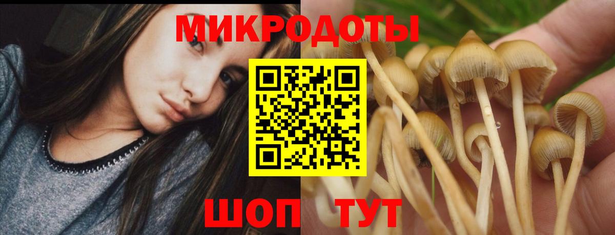 Псилоцибиновые грибы Psilocybe  Галлюциногенные грибы Cubensis  Вход с VPN  Нижневартовск 